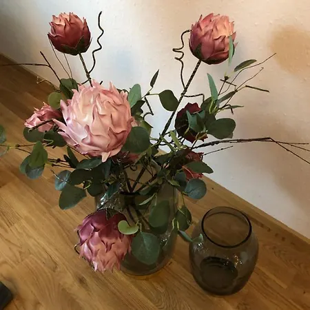 Appartementhotel Cura 4*